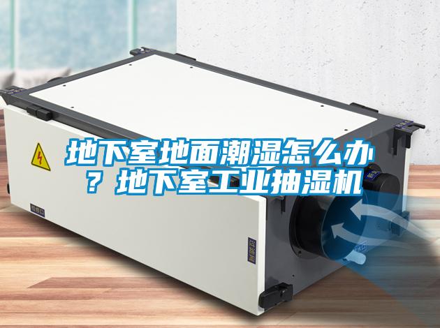 地下室地面潮濕怎么辦？地下室工業(yè)抽濕機(jī)