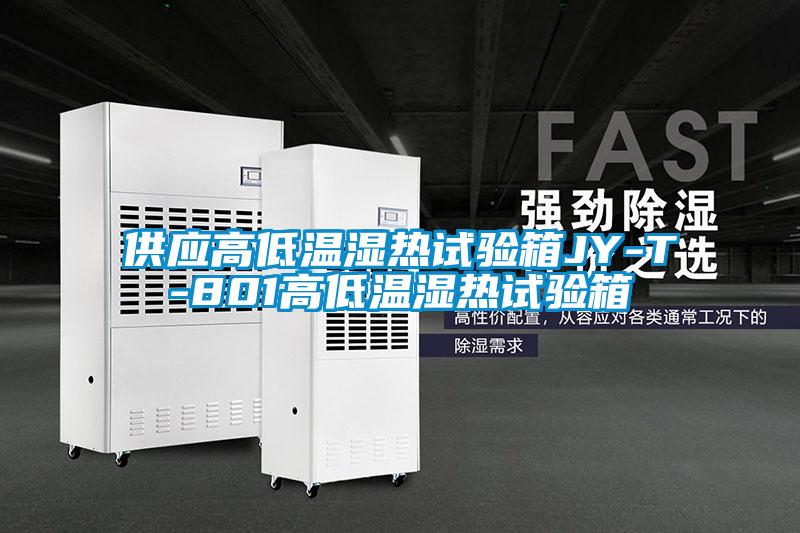 供應(yīng)高低溫濕熱試驗(yàn)箱JY-T-801高低溫濕熱試驗(yàn)箱