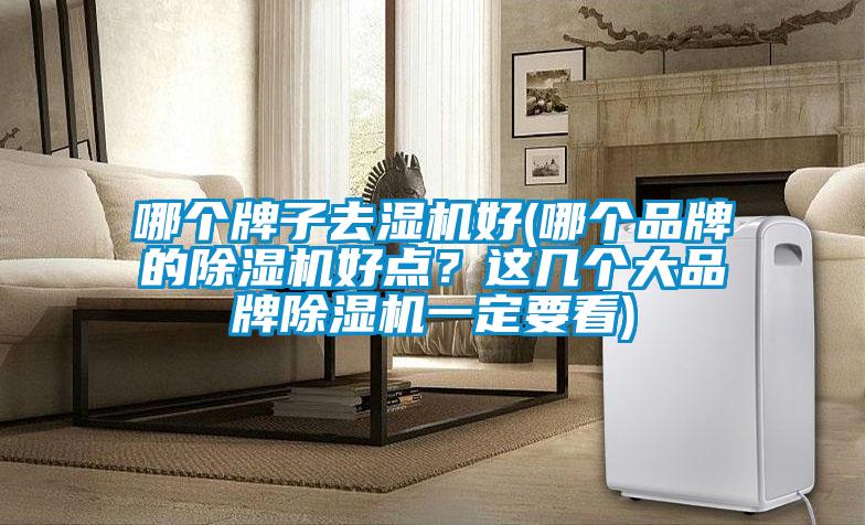哪個牌子去濕機好(哪個品牌的除濕機好點？這幾個大品牌除濕機一定要看)