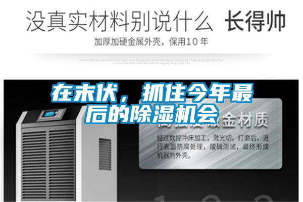 在末伏，抓住今年最后的除濕機(jī)會