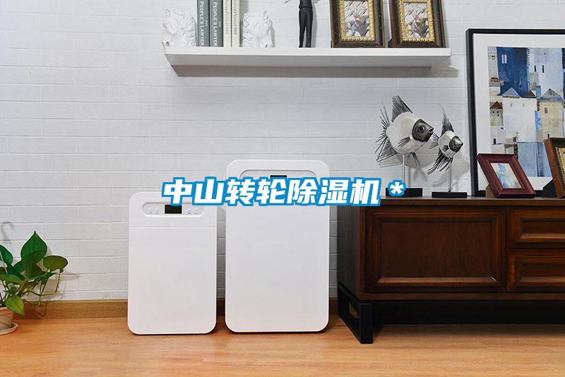 中山轉(zhuǎn)輪除濕機＊