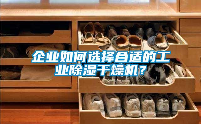 企業(yè)如何選擇合適的工業(yè)除濕干燥機(jī)？