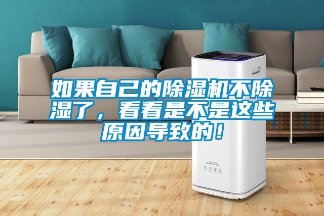 如果自己的除濕機(jī)不除濕了，看看是不是這些原因?qū)е碌模?></div>
								<div   id=
