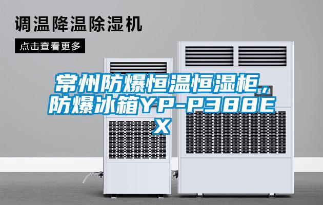 常州防爆恒溫恒濕柜，防爆冰箱YP-P388EX