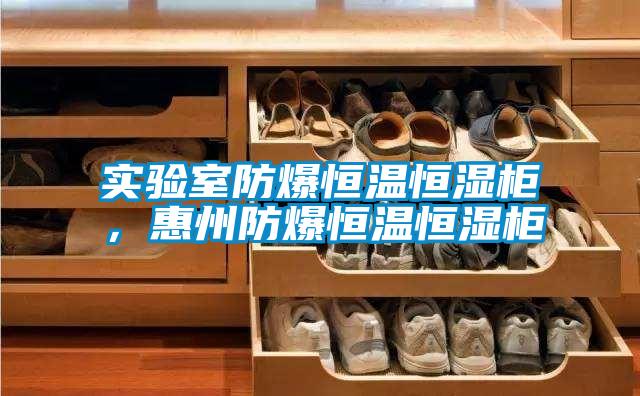 實(shí)驗(yàn)室防爆恒溫恒濕柜，惠州防爆恒溫恒濕柜