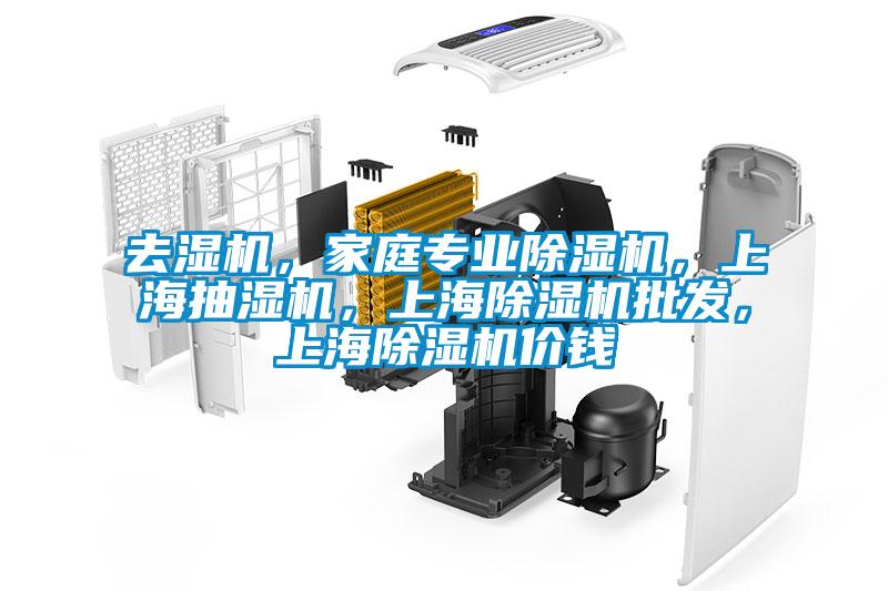 去濕機(jī)，家庭專業(yè)除濕機(jī)，上海抽濕機(jī)，上海除濕機(jī)批發(fā)，上海除濕機(jī)價(jià)錢