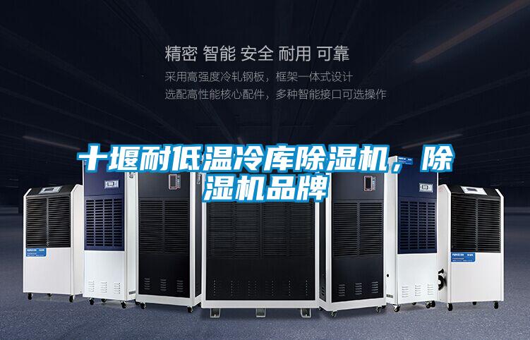 十堰耐低溫冷庫除濕機，除濕機品牌