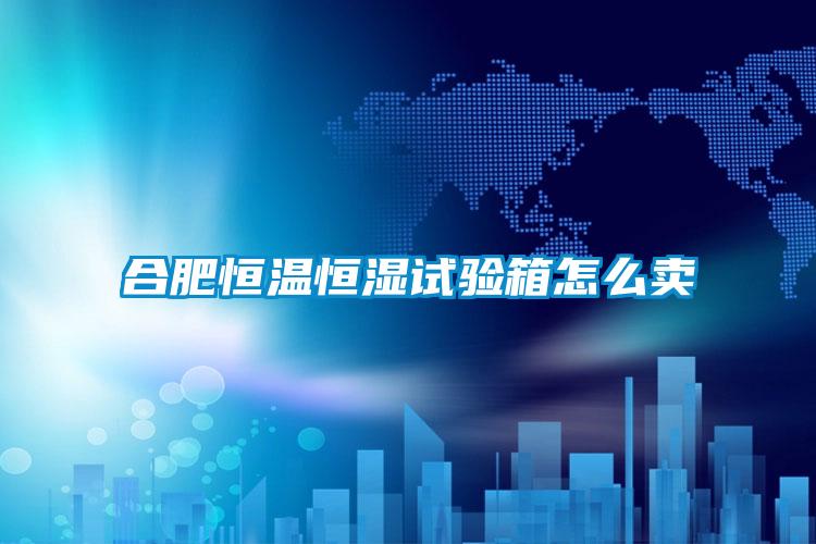 合肥恒溫恒濕試驗(yàn)箱怎么賣(mài)