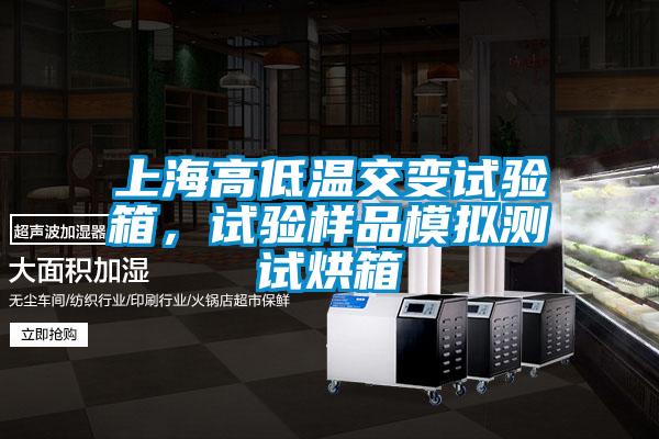 上海高低溫交變?cè)囼?yàn)箱，試驗(yàn)樣品模擬測(cè)試烘箱