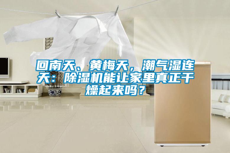 回南天、黃梅天，潮氣濕連天：除濕機(jī)能讓家里真正干燥起來(lái)嗎？