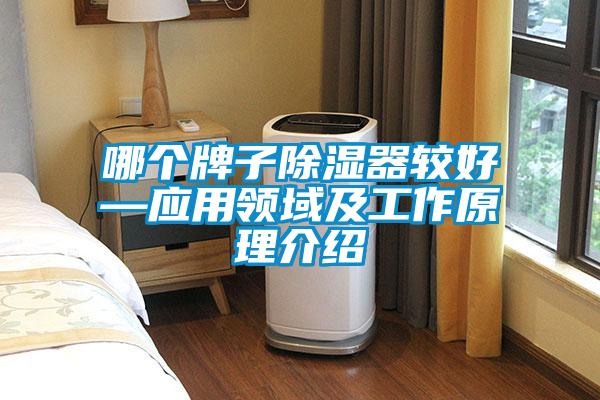 哪個牌子除濕器較好—應用領(lǐng)域及工作原理介紹