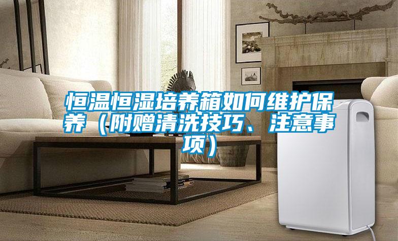 恒溫恒濕培養(yǎng)箱如何維護保養(yǎng)（附贈清洗技巧、注意事項）