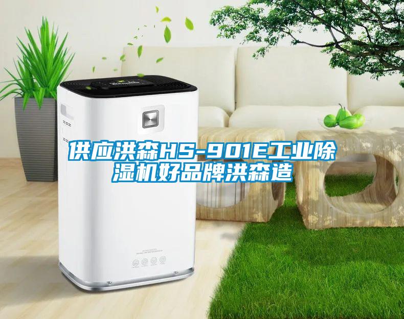 供應(yīng)洪森HS-901E工業(yè)除濕機好品牌洪森造