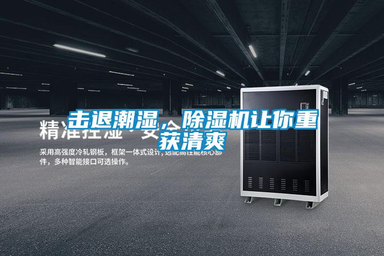 擊退潮濕，除濕機(jī)讓你重獲清爽