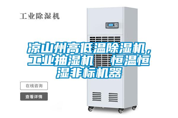 涼山州高低溫除濕機，工業(yè)抽濕機  恒溫恒濕非標機器