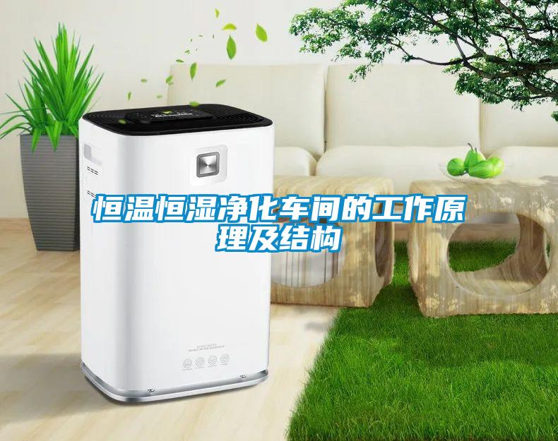 恒溫恒濕凈化車間的工作原理及結構