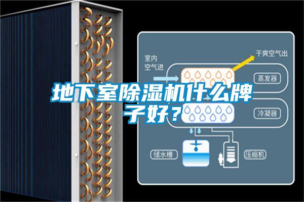 地下室除濕機什么牌子好？