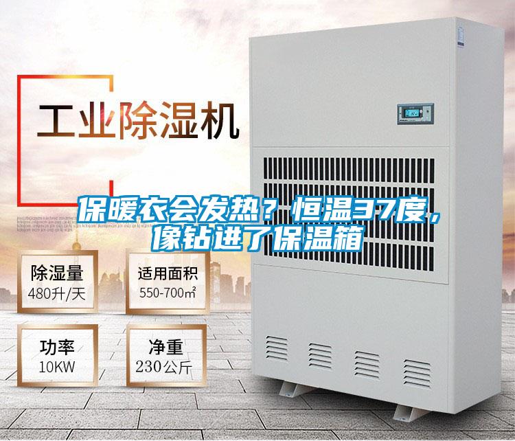 保暖衣會發(fā)熱？恒溫37度，像鉆進了保溫箱