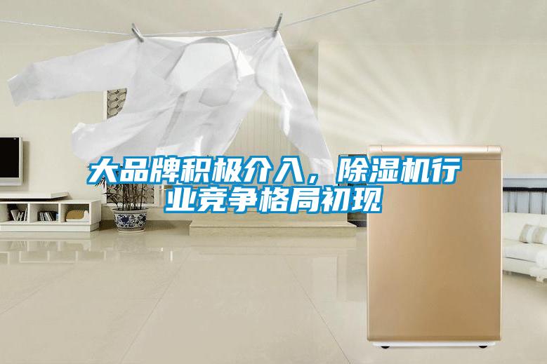 大品牌積極介入，除濕機行業(yè)競爭格局初現(xiàn)