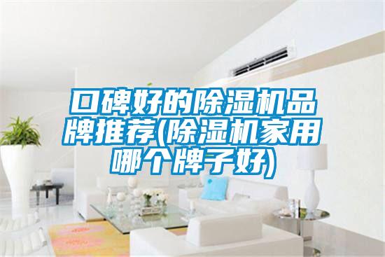 口碑好的除濕機(jī)品牌推薦(除濕機(jī)家用哪個牌子好)