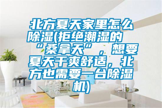 北方夏天家里怎么除濕(拒絕潮濕的“桑拿天”，想要夏天干爽舒適，北方也需要一臺除濕機(jī))