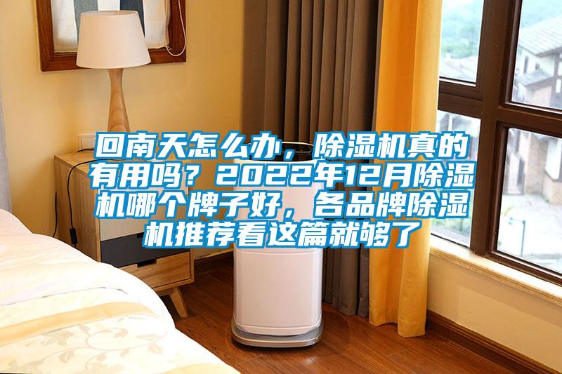 回南天怎么辦，除濕機(jī)真的有用嗎？2022年12月除濕機(jī)哪個(gè)牌子好，各品牌除濕機(jī)推薦看這篇就夠了