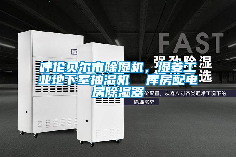 呼倫貝爾市除濕機，濕菱工業(yè)地下室抽濕機  庫房配電房除濕器