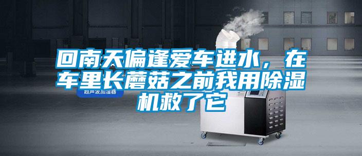 回南天偏逢愛(ài)車進(jìn)水，在車?yán)镩L(zhǎng)蘑菇之前我用除濕機(jī)救了它