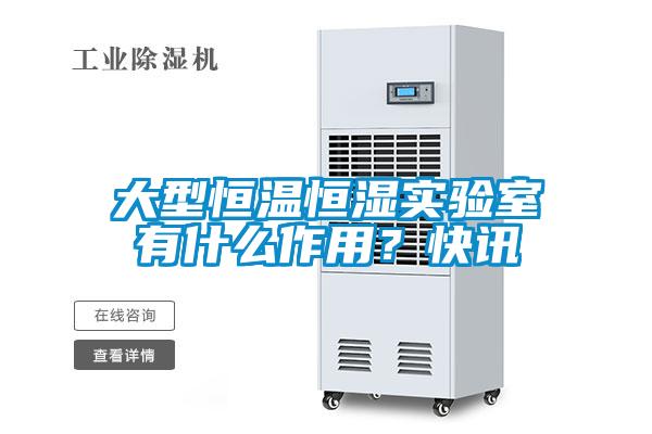 大型恒溫恒濕實(shí)驗(yàn)室有什么作用？快訊