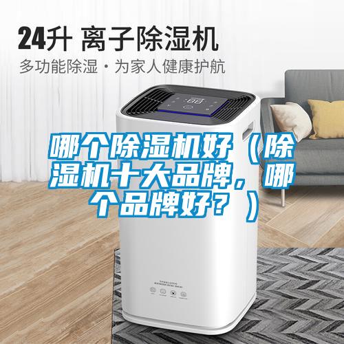 哪個(gè)除濕機(jī)好（除濕機(jī)十大品牌，哪個(gè)品牌好？）