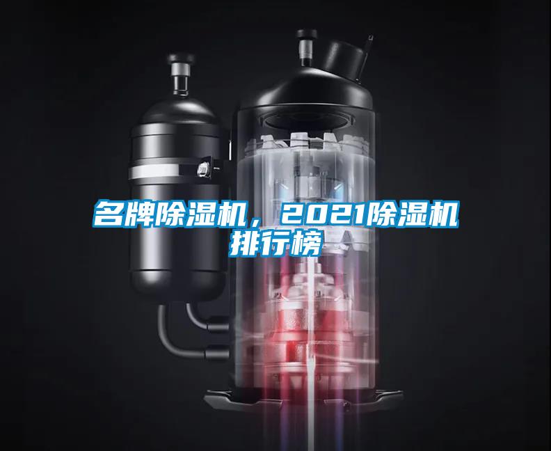 名牌除濕機(jī)，2021除濕機(jī)排行榜