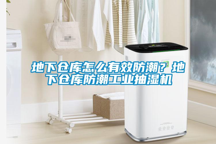 地下倉庫怎么有效防潮？地下倉庫防潮工業(yè)抽濕機