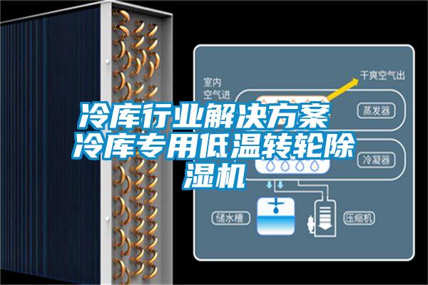 冷庫(kù)行業(yè)解決方案 冷庫(kù)專用低溫轉(zhuǎn)輪除濕機(jī)