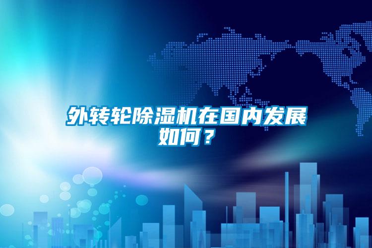 外轉(zhuǎn)輪除濕機(jī)在國(guó)內(nèi)發(fā)展如何？