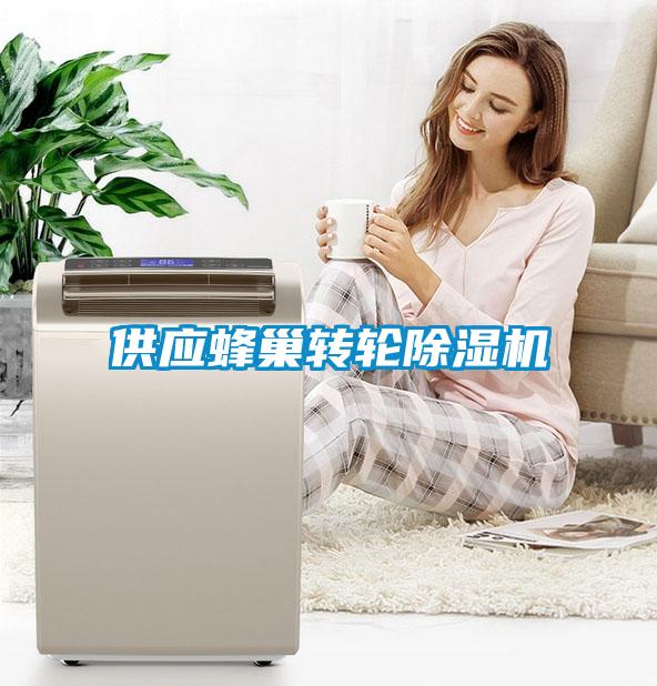 供應(yīng)蜂巢轉(zhuǎn)輪除濕機