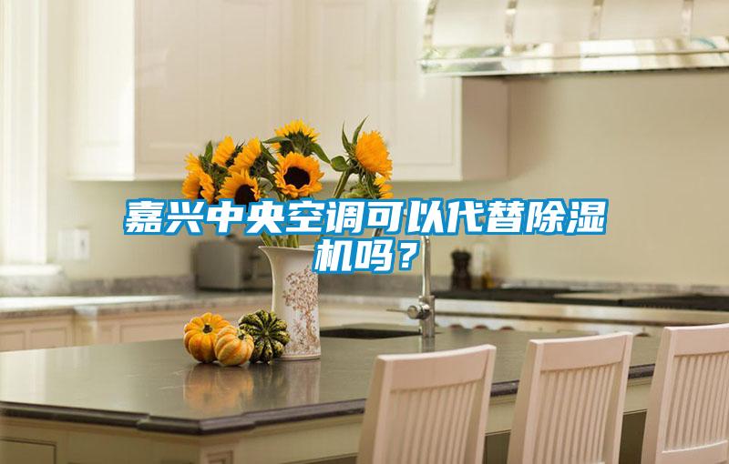 嘉興中央空調(diào)可以代替除濕機(jī)嗎？