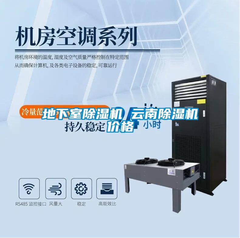 地下室除濕機(jī) 云南除濕機(jī)價格