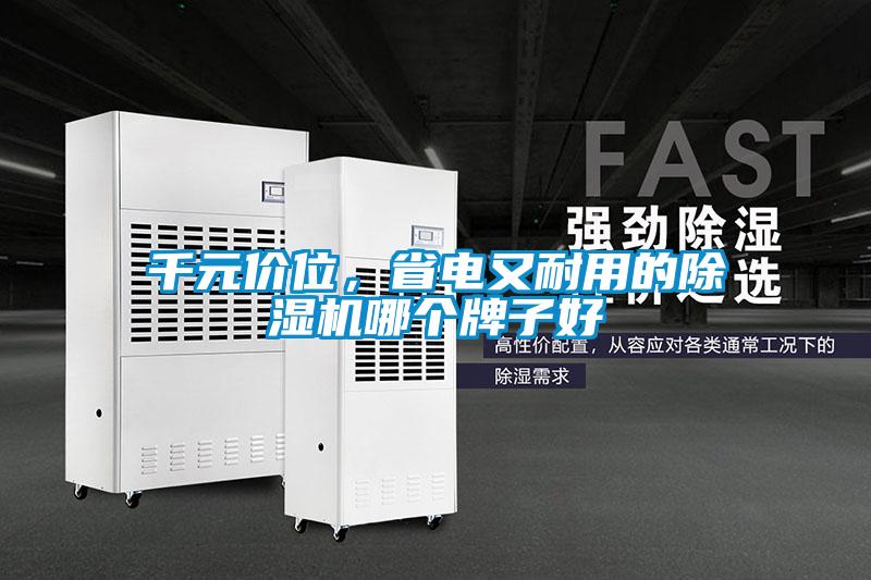 千元價位，省電又耐用的除濕機哪個牌子好