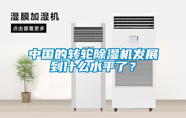 中國(guó)的轉(zhuǎn)輪除濕機(jī)發(fā)展到什么水平了？