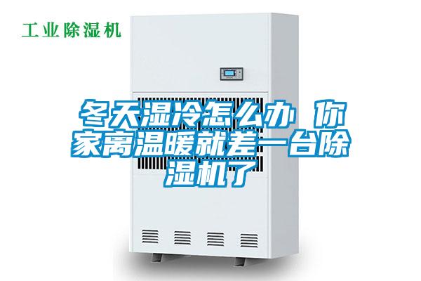 冬天濕冷怎么辦 你家離溫暖就差一臺除濕機(jī)了
