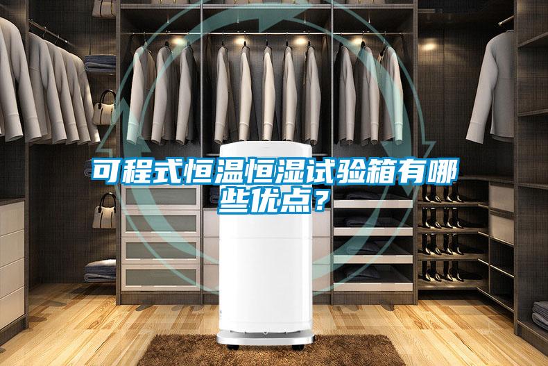 可程式恒溫恒濕試驗(yàn)箱有哪些優(yōu)點(diǎn)？
