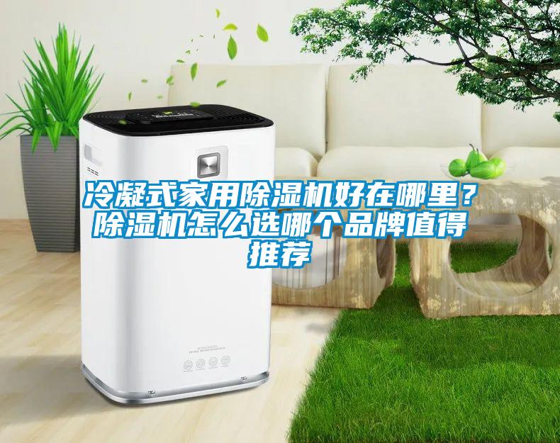 冷凝式家用除濕機(jī)好在哪里？除濕機(jī)怎么選哪個(gè)品牌值得推薦