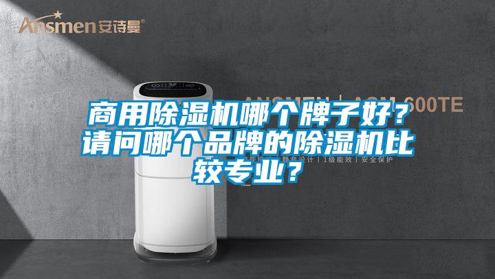 商用除濕機(jī)哪個(gè)牌子好？請(qǐng)問(wèn)哪個(gè)品牌的除濕機(jī)比較專業(yè)？