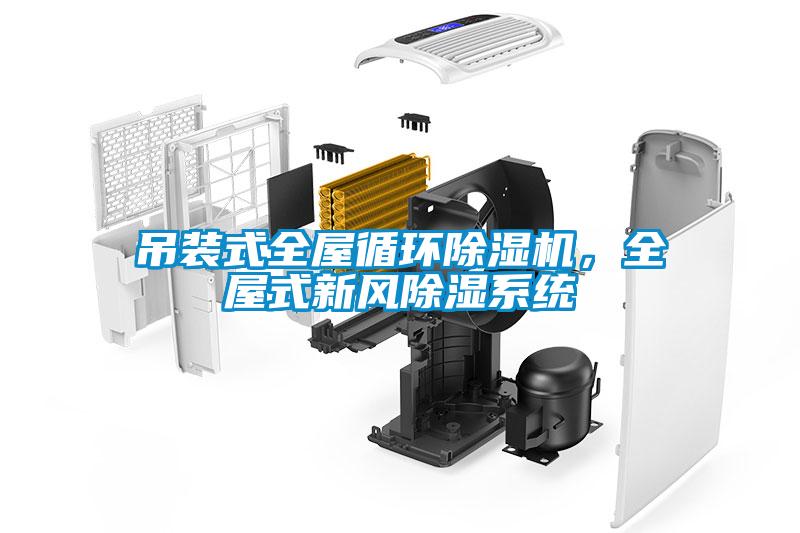 吊裝式全屋循環(huán)除濕機，全屋式新風除濕系統(tǒng)