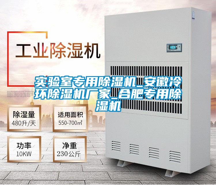 實(shí)驗(yàn)室專用除濕機(jī)_安徽冷環(huán)除濕機(jī)廠家_合肥專用除濕機(jī)