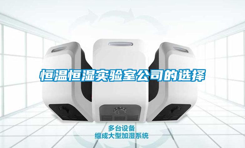 恒溫恒濕實(shí)驗(yàn)室公司的選擇