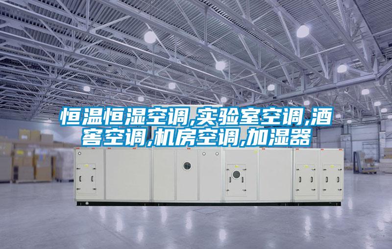 恒溫恒濕空調(diào),實驗室空調(diào),酒窖空調(diào),機房空調(diào),加濕器