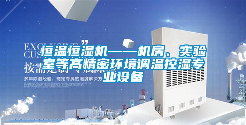 恒溫恒濕機(jī)——機(jī)房、實(shí)驗(yàn)室等高精密環(huán)境調(diào)溫控濕專業(yè)設(shè)備
