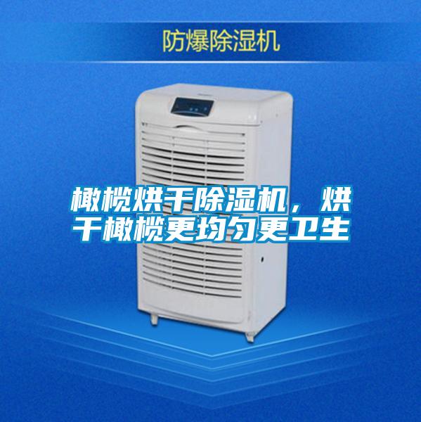 橄欖烘干除濕機(jī)，烘干橄欖更均勻更衛(wèi)生