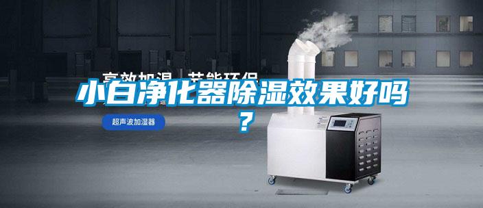 小白凈化器除濕效果好嗎？